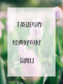 英语写作经典好句好词组