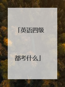 英语四级都考什么