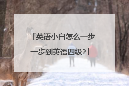英语小白怎么一步一步到英语四级?
