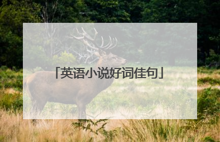 英语小说好词佳句