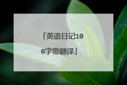 英语日记100字带翻译