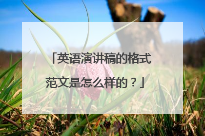 英语演讲稿的格式范文是怎么样的?