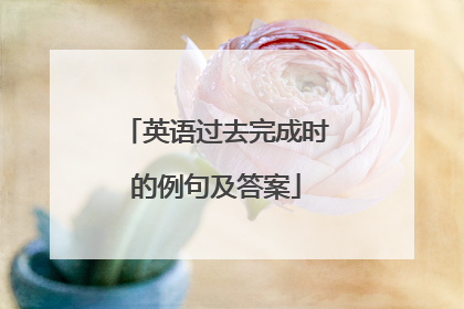 英语过去完成时的例句及答案