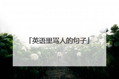 英语里骂人的句子