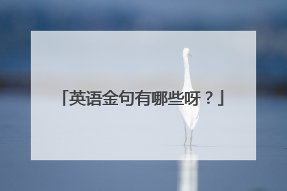 英语金句有哪些呀？