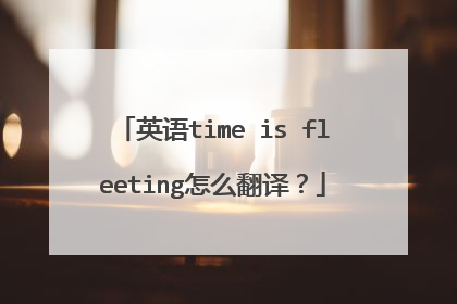 英语time is fleeting怎么翻译？