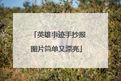 英雄事迹手抄报图片简单又漂亮