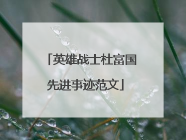 英雄战士杜富国先进事迹范文