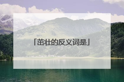 茁壮的反义词是