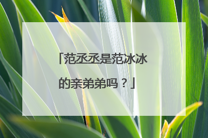 范丞丞是范冰冰的亲弟弟吗？