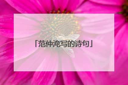 范仲淹写的诗句