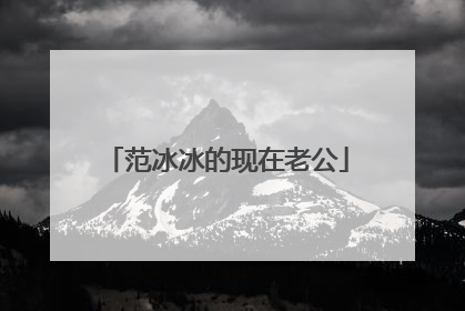 范冰冰的现在老公