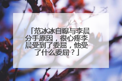 范冰冰自曝与李晨分手原因,很心疼李晨受到了委屈,他受了什么委屈?