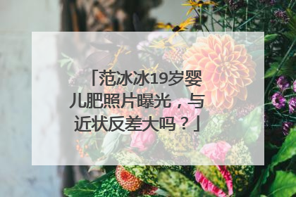 范冰冰19岁婴儿肥照片曝光，与近状反差大吗？