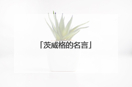 茨威格的名言