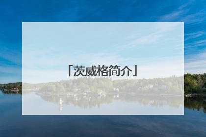 茨威格简介