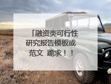 融资类可行性研究报告模板或范文 跪求!!!!速速来!