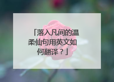 落入凡间的温柔仙句用英文如何翻译?