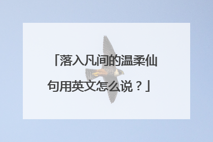 落入凡间的温柔仙句用英文怎么说?