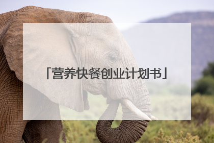 营养快餐创业计划书