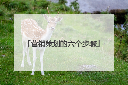 营销策划的六个步骤