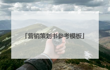 营销策划书参考模板