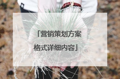营销策划方案格式详细内容