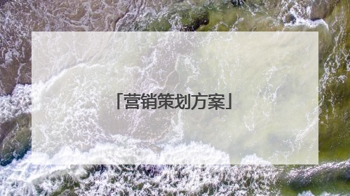 营销策划方案