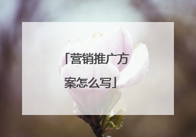 营销推广方案怎么写