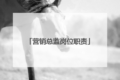 营销总监岗位职责