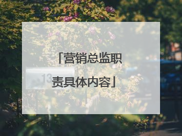 营销总监职责具体内容