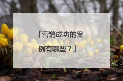 营销成功的案例有哪些？