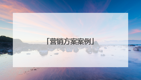 营销方案案例