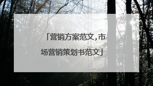 营销方案范文,市场营销策划书范文