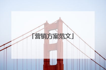 营销方案范文
