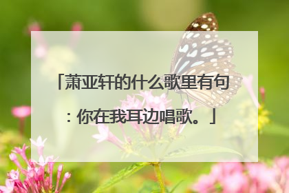 萧亚轩的什么歌里有句：你在我耳边唱歌。
