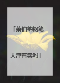 萧伯纳钢笔天津有卖吗