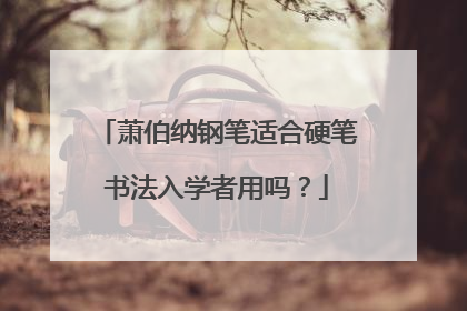 萧伯纳钢笔适合硬笔书法入学者用吗？