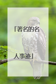 著名的名人事迹