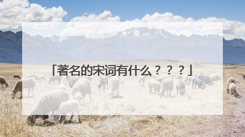 著名的宋词有什么？？？