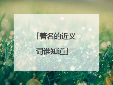 著名的近义词谁知道