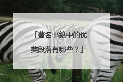 著名书籍中的优美段落有哪些？