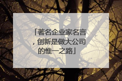 著名企业家名言,创新是做大公司的惟一之路