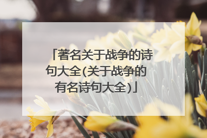 著名关于战争的诗句大全(关于战争的有名诗句大全)