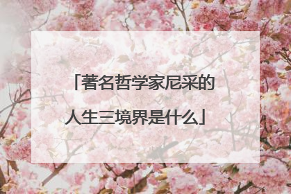 著名哲学家尼采的人生三境界是什么