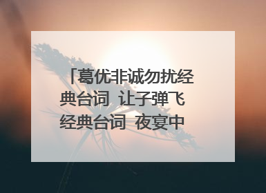 葛优非诚勿扰经典台词 让子弹飞经典台词 夜宴中的经典台词