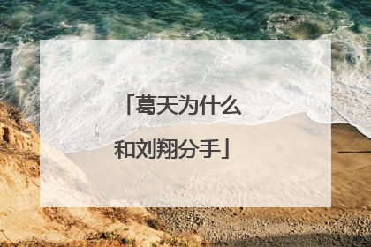 葛天为什么和刘翔分手