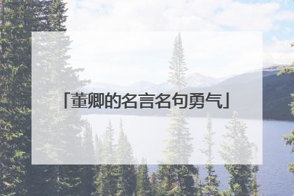 董卿的名言名句勇气