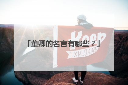 董卿的名言有哪些？