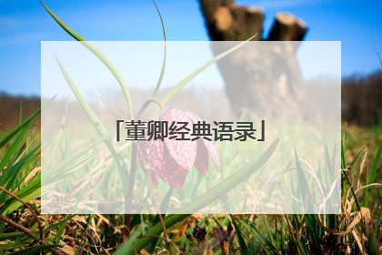 董卿经典语录